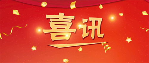 喜讯丨《文献活映》系列短视频获区级优秀奖