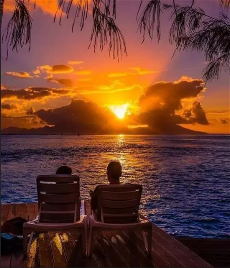 活动预告丨阅享“夕阳红”系列活动(11月)