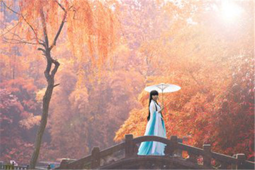 图片18.jpg