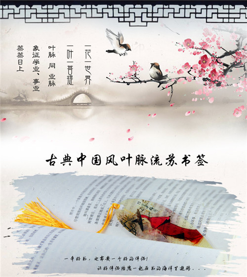 图片10.jpg