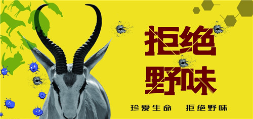 图片11.jpg