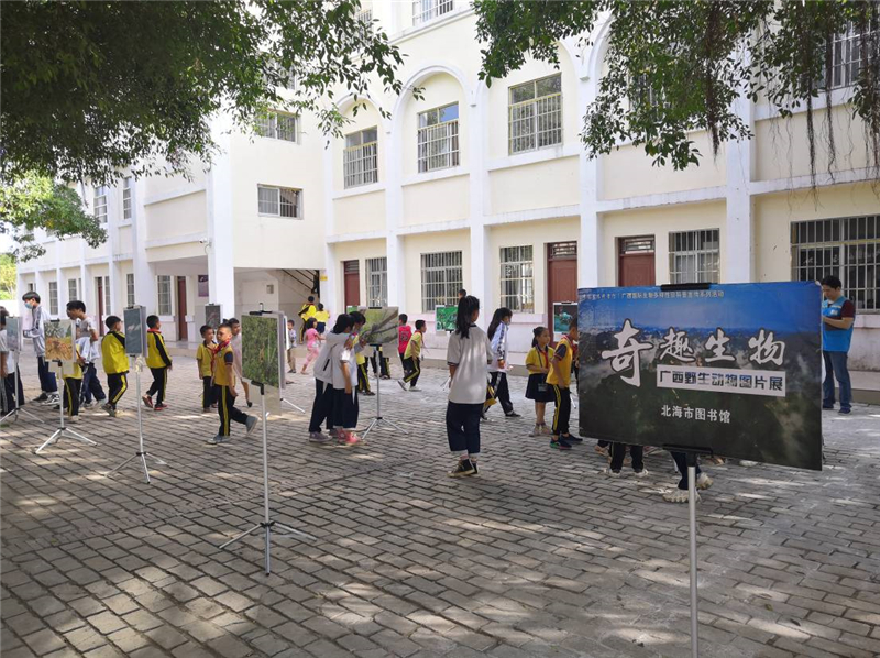  “快乐阅读 书香伴我成长”进校园活动