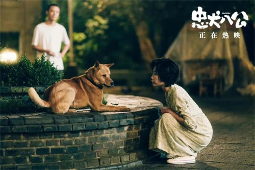 珠城书友·影友沙龙之候鸟专场