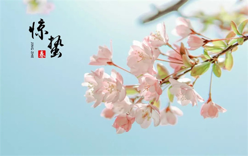 中国好时节 二十四节气之惊蛰