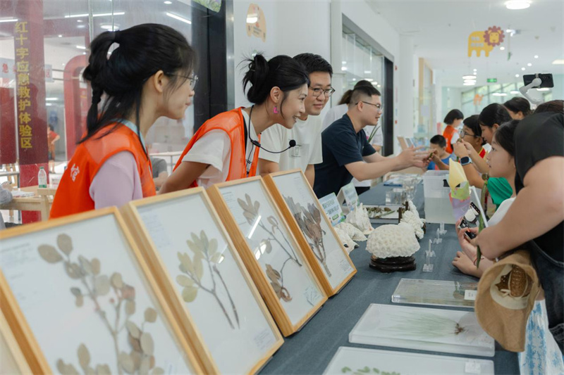 活动回顾丨“探秘红树林 共筑生态梦”主题科普活动